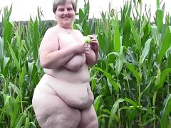 in the corn field